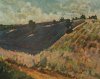 Lavande et sauge, Plateau d'Albion 2002 - Huile 65x81