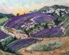 Lavande au Col d'Aulan 2000 - Huile 65x81