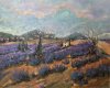 Cabanon 2007 - Plateau de Valensole, Huile 60x73