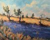 Lavande près de Ferrassières 2007 - Plateau d'Albion, Huile 54x65