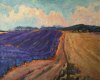 Lavandin et céréales 2007 - Plateau de Valensole, Huile 54x65