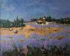 Champ de Sauge 2013 - Luberon, Huile 54x65