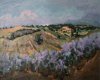 Champ de Sauge 2013 - Plateau d'Albion, Huile 54x65