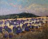 Le Ventoux 2005 - Plateau d'Albion, Huile 54x65