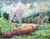Sagne du Pontet 1994 - Jura, Vallée de Joux, Gouache 55x73